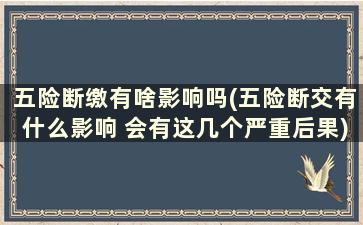 五险断缴有啥影响吗(五险断交有什么影响 会有这几个严重后果)